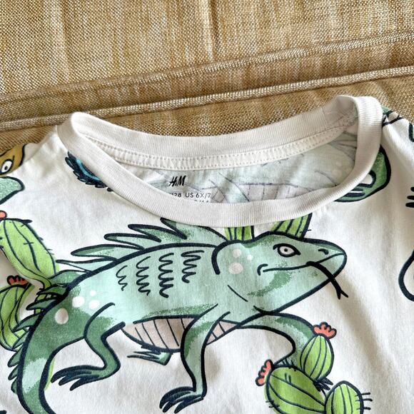 H & M Basic 100% Organic Cotton Short Sleeve T Shirt Tee Dinosaurs Print 6x / 7 - Picture 4 of 7